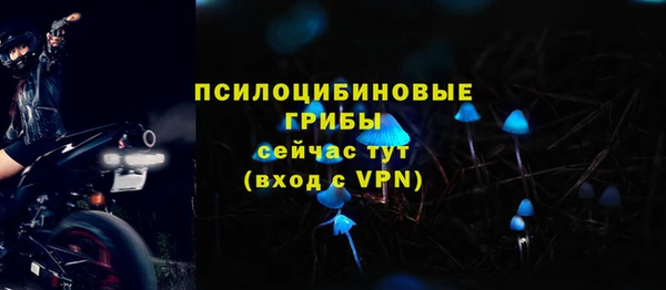 круглые Алексеевка