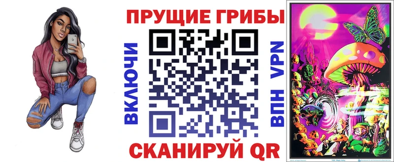 Галлюциногенные грибы Psilocybine cubensis  Мытищи 