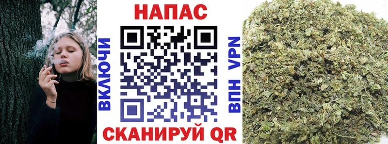 omg онион  Мытищи  Бошки Шишки планчик 